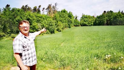 Archivbild: td
Dort am Ortsrand von Traunricht, wo die Bäume stehen, soll auch ein Funkmast stehen. Einer Mitteilung der Marktgemeinde zufolge nur noch für den Behörden- und nicht mehr für den Mobilfunk. Franz Prey bleibt misstrauisch.
