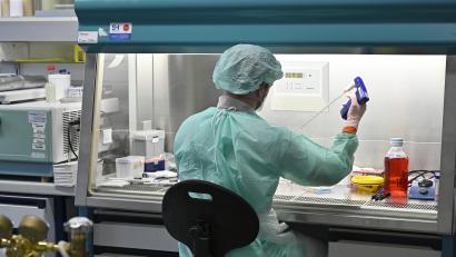 Bild: Hans Punz/APA/dpa
Im Institut für Hygiene und Angewandte Immunologie der Medizinischen Universität Wien führt ein Mitarbeiter Laboruntersuchungen zur Abklärung des Coronavirus durch.