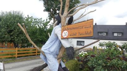 Bild: rn
Zu schneller Besen: Hexe landet am Baum.