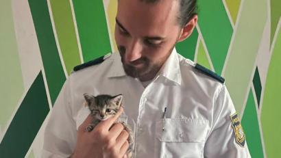 Bild: Polizei/Polizeipräsidium Mittelfranken/dpa
Ein junges Katzenbaby ist in Mittelfranken aus einem Auto gerettet worden