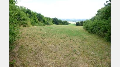 Bild: bey
Auf der freien Fläche (links hinter der Hecke verläuft die Kreisstraße NEW 2, rechts hinter der Hecke befindet das Werk FAS) wird die Freiflächenphotovoltaikanlage "Berghof" errichtet.