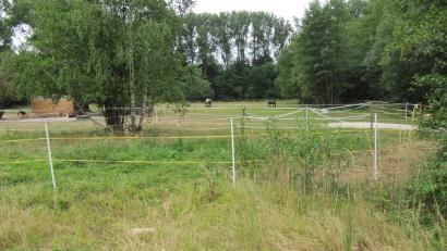 Bild: fg
Bis 1999 kämpften hier die Fußballer des TuS Hirschau im Gebrüder-Dorfner-Stadion an der Schönbrunner Straße um Punkte, jetzt dient das Gelände vorübergehend auch als Weide. Auf dem Gelände ist als neue Nutzung die Errichtung eines Sozialcampus geplant. Begonnen werden soll mit einem Seniorenheim und einer Kindertagesstätte.