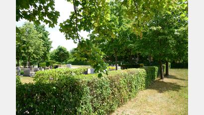 Bild: bey
Die Thujenhecke wird beim Bau der Friedhofsmauer verschwinden, ob die Bäume erhalten bleiben, ist fraglich. Die neue Friedhofsmauer soll aus Granit erstellt werden und eine maximale Höhe von 1,50 Meter haben. Mit der genauen Planung wird ein Fachbüro beauftragt.