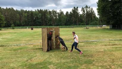 Bild: mis
Vorsitzender Jürgen Schwarz und seine Stellvertreterin Anja Hölzl beim Training mit einem Schäferhund.