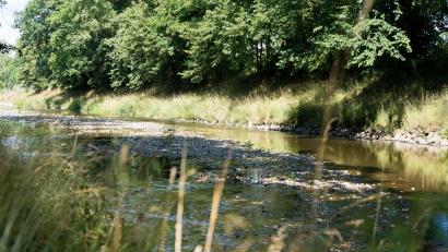 Bild: Marina Gube
Wenig Wasser im Flutkanal in Weiden – und momentan in vielen anderen Gewässern. Das ist das Ergebnis der aktuellen Hitze- und Trockenperiode.