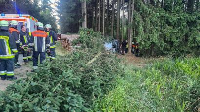 Bild: rw
Ein Auto kam am Samstagabend bei Lauterbach (Marktgemeinde Mähring) von der Fahrbahn ab und prallte gegen einen Holzstapel und einen Baum. Der Fahrer musste von der Feuerwehr aus dem Wrack befreit werden.