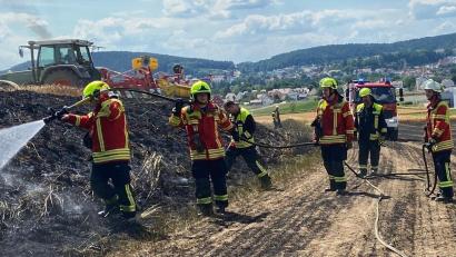 Bild: Völkl
Anfang Juli waren die ersten Flächenbrände zu bewältigen (unser Bild). Inzwischen haben die Feuerwehren einen Einsatz nach dem anderen. Die Flächen- und Waldbrände im Landkreis nehmen kein Ende.