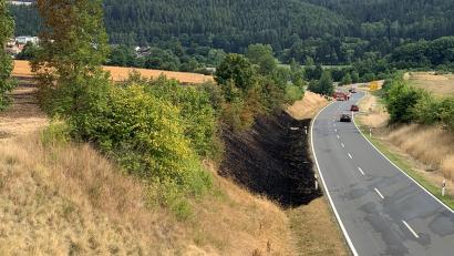 Bild: Gabi Schönberger
Nahe der Siedlung "Steinleite" in Störnstein brannte am Montagnachmittag ein Feld.