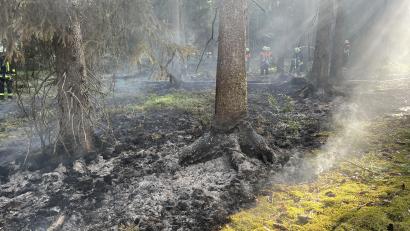 Bild: Polizei Amberg
Zwischen Mendorferbuch und Ödgötzendorf hat es an der Kreisstraße AS 2 im Wald gebrannt.