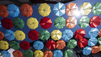 Bild: Boris Roessler
Die kommenden Tage werden heiß. Schattige Plätze sind begehrt.