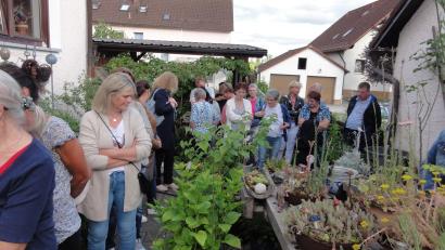 Bild: jhö
Von der Straße her nicht sonderlich auffällig, verbirgt sich im Garten der Familie Friedrich ein wahres Paradies. Die Gartenbesitzer Irene und Herbert Friedrich führten die begeisterten Gäste aus dem Klosterdorf durch ihr grünes Wohnzimmer.