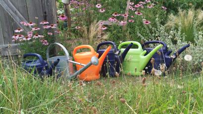 Bild: ptr
Für Gartenbesitzer sind die Gießkannen derzeit das wichtigste Utensil. Wenn es länger nicht regnet, machen viele Pflanzen schlapp. Tipps, wie Gießen richtig geht, hat Kreisfachberater Harald Schlöger parat.