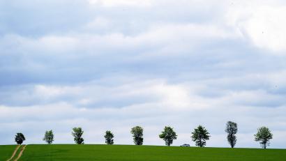 Symbolbild: Jonas Güttler/dpa
Am Freitag breiten sich im Tagesverlauf immer wieder dichtere Wolkenfelder aus.