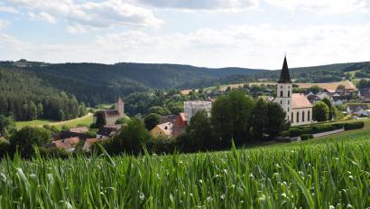 Bild: bnr
Eingebettet in eine abwechslungsreiche Hügellandschaft zählt Trausnitz zu den Perlen im Oberpfälzer Wald.