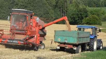 Bild: jr
Erntearbeiten im Landkreis Tirschenreuth bei Großbüchlberg.