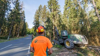 Bild: Martin Hertel/exb
Manfred Schwanitz, Forstwirtschaftsmeister beim Forstbetrieb Fichtelberg, überwacht die Holzfällung im Rahmen der Moorrenaturierung entlang der Straße zwischen Neubau und der B 303.