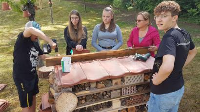 Bild: jpl
Unter fachkundiger Anleitung der Tischlerin Barbara Krawietz gestalteten die Fichtelnaabtal-Mittelschüler ein Insektenhotel für den Schulgarten.