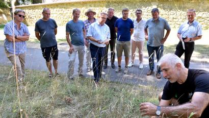 Bild: Stephan Huber
Rudi Leitl (rechts vorne) vom Landschaftspflegeverband zeigt bei einem Rundgang Kohllauch, auch Rosslauch genannt, der im Stadtgraben in Amberg wächst.