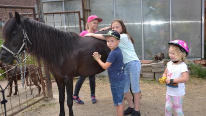 Bild: gi
Die Kinder lernen viel über den Umgang mit den Tieren, ob beim Putzen, Reiten oder Führen der Pferde.