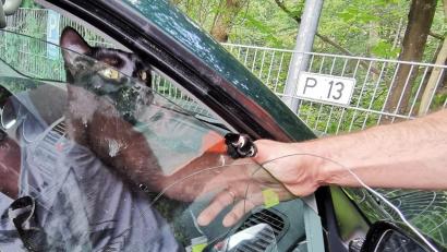 Bild: Feuerwehr Sinzing
Weil das Auto schon älter war, konnte die Feuerwehr die Scheibe nach unten schieben.