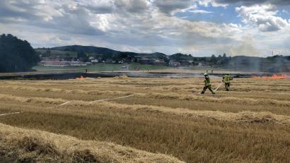 Bild: Feuerwehr Landkreis Cham
Bei Traitsching ist ein Feld abgebrannt.