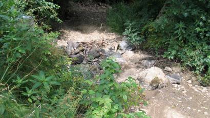 Bild: bkr
Das Bild zeigt den Flötzbach bei der Ableitung seines Wassers in das Naturschutzgebiet Heid- und Hirschbergweiher.