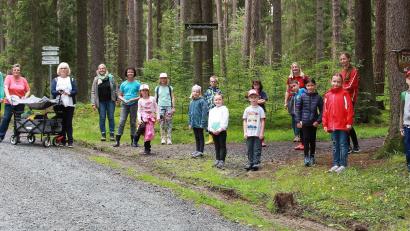 Archivbild: wro
Die Schnitzeljagd durch den Steinwald wird in diesem Jahr wiederholt. Sollte es regnen, fällt der Ausflug ins Wasser.