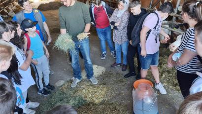 Bild: Christine Stangl/exb
Josef Stangl jun. gab Informationen zum Füttern der Kühe.