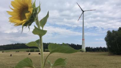 Bild: gri
Eine der beiden Bürger-Windkraftanlagen in Witzlricht. Die Räder drehen sich gut und werfen für die mehr als 200 Genossenschafter Gewinn ab.