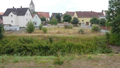 Bild: rn
Immer grüner wird seit Jahren die für ein neues Pfarrheim von der Kirchenverwaltung erworbene Fläche an der Wassergasse. Unter die heimisch geworden Stauden mischt sich bereits Sommerflieder.