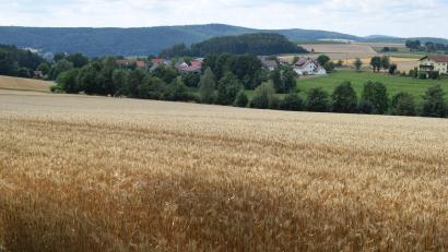 Bild: bnr
Die Felder nördlich und südlich von Trossau erwecken das Interesse von Investoren für die Errichtung von PV-Freiflächenanlagen. Eine Entscheidung ist bisher noch nicht gefallen.