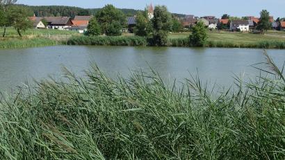 Bild: Houschka
Im Konzept einer dem Städtebauförderungsprogramm entsprechenden Neuorientierung könnte auch der Weiher am südlichen Dorfrand von Dürnsricht eine Rolle spielen.