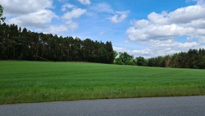 Bild: sne
Bei hunderten von Baulücken in Grafenwöhr fordert die Regierung der Oberpfalz einen Nachweis, dass die Ausweisung neuer Baugebiete wie hier an der Steinfelser Straße in Hütten notwendig ist.