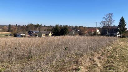 Bild: e
Am Ortsende von Sorghof entsteht auf einer Fläche von 2,3 Hektar ein neues Baugebiet mit 20 Parzellen.