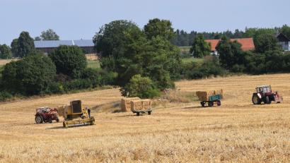 Bild: bö
Es ist schon fast alles abgeerntet, die Strohballen werden gepresst und abtransportiert. Um dieses enorme Arbeitspensum zu schultern, mussten manche Landwirt Spätschichten einlegen.