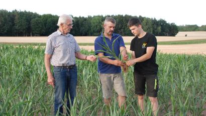 Bild: cvl
Anton, Matthias und Florian Schiml (von links) vor zwei Wochen auf ihrem Maisacker: Die Pflanzen haben ihre Blätter zusammengerollt und ihr Wachstum eingestellt.