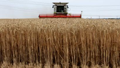Symbolbild: Bernd Wüstneck/dpa
In einem Getreidefeld bei Ensdorf wurden Steine und weiterer Unrat entsorgt, was einen Mähdrescher erheblich beschädigen hätte können.