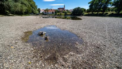 Symbolbild: Armin Weigel/dpa
Kies liegt am Ufer der Niedrigwasser führenden Donau. Die Hitze macht dem Fluss zu schaffen.