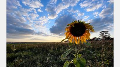 Bild: Alexander Unger
Nur vorübergehend gehen die Temperaturen auf „sommerlich warm“ statt heiß zurück.