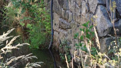 Bild: bkr
An vielen Stellen entlang der Bäche sind Wasserschläuche oder Tauchpumpen zur Entnahme von Wasser zu erkennen. Ohne behördliche Zustimmung ist dies nicht erlaubt.