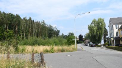 Archivbild: Gabi Schönberger
Die Grünfläche links ist das künftige Baugebiet "Horbach". Hier planen die Stadt und der Investor R+K Projektbau Mehrfamilien- und Einfamilienhäuser.
