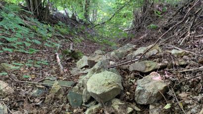 Bild: ck
Der Hohlweg bietet gerade Wildtieren bei den hohen Temperaturen im Sommer ein kühles Rückzugsgebiet. Hier wurden Steine abgekippt.