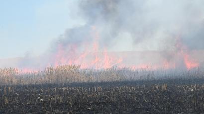 Bild: gf
Auch in Poppenricht brannte ein Feld.