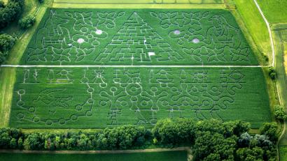 Bild: Peter Ruff
In Atting im niederbayerischen Landkreis Straubing-Bogen gibt es einen Mais-Irrgarten auf gut 16 600 Quadratmetern Fläche.