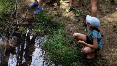 Bild: lep
Die Teilnehmer am Ferienprogramm der KAB verbrachten einen erlebnisreichen gelungenen Tag. Am Goldbrunnen waren sie auf der Suche nach "Goldmünzen und Nuggets".
