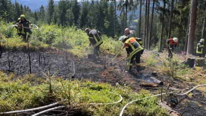 Bild: Kreisbrandinspektion Cham
Die Feuerwehrleute löschten einen Waldbrand bei Eggersberg.