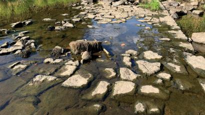 Bild: Gabi Schönberger
Nicht nur der Flutkanal in Weiden führt als Folge der Trockenheit der vergangenen Wochen wenig Wasser. Auch Quellen versiegen. „Wasser sparen“ lautet für alle die Devise.