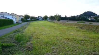 Bild: bey
Die Grünfläche wird als neue Baugebiet "Weidener Straße" ausgewiesen. Die Bewohner der Häuser haben einen ungestörten Blick auf die Bergkapelle (rechts hinten). Jetzt stehen auch die Quadratmeter-Preise fest.