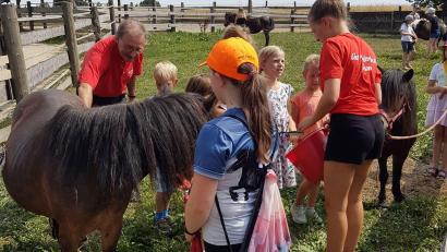 Bild: gz
Anziehend auf die Kinder wirkten vor allem die Ponys.