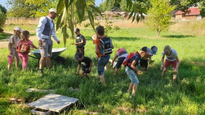 Bild: hns
Beim Ferienprogramm im Geschichtspark sammelten die Kinder Gras für die Schafe.